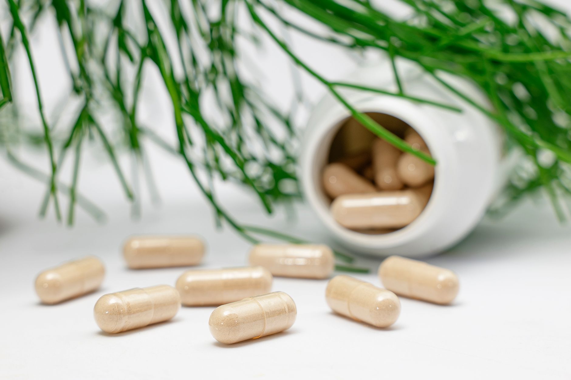 plant-based pharmaceutical ingredient